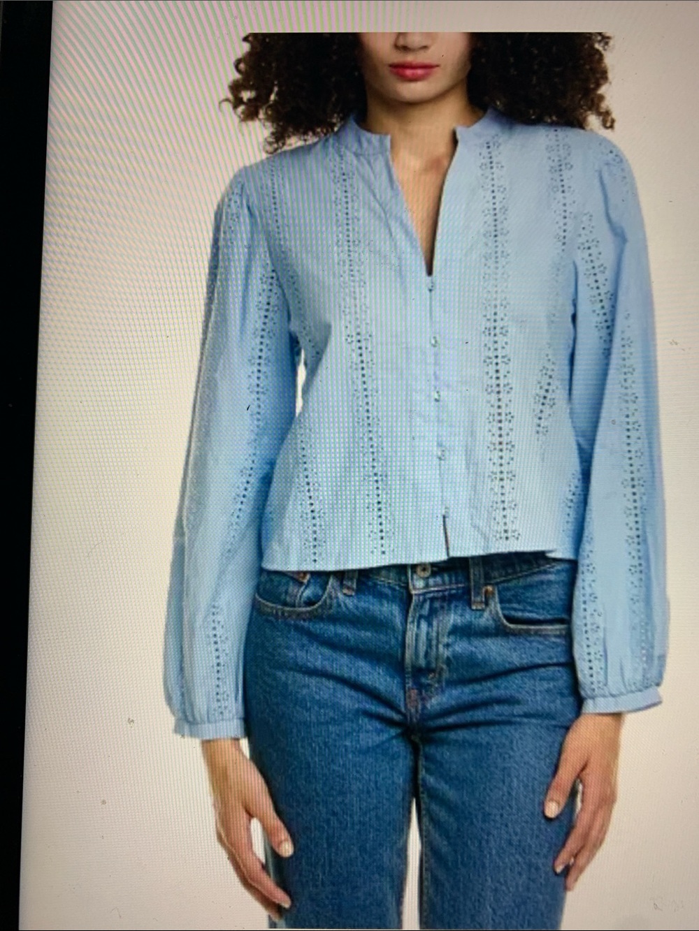 NWT Zara Light Blue Eyelet Button-Down Blouse